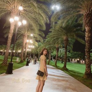 Feedback Túi hộp KK
