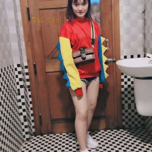 Túi hộp HLW 3