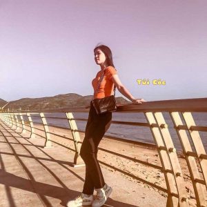 Feedback Túi hộp 4D