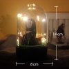 Đèn vô diện 5 1 150k