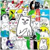 Sticker dán 49 1 5