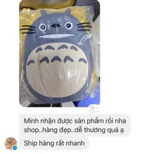 Feedback Mini totoro silicon