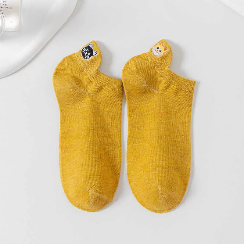 Với 2 mèo khác màu 4 Với 2 mèo khác màu - Ảnh 4
